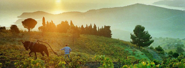 Domaine de La Rectorie