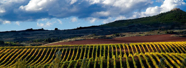 Bodegas Castillo de Monjardín