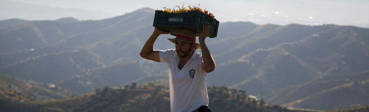 Bodegas Ordóñez