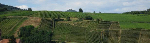 Domaine Marcel Deiss