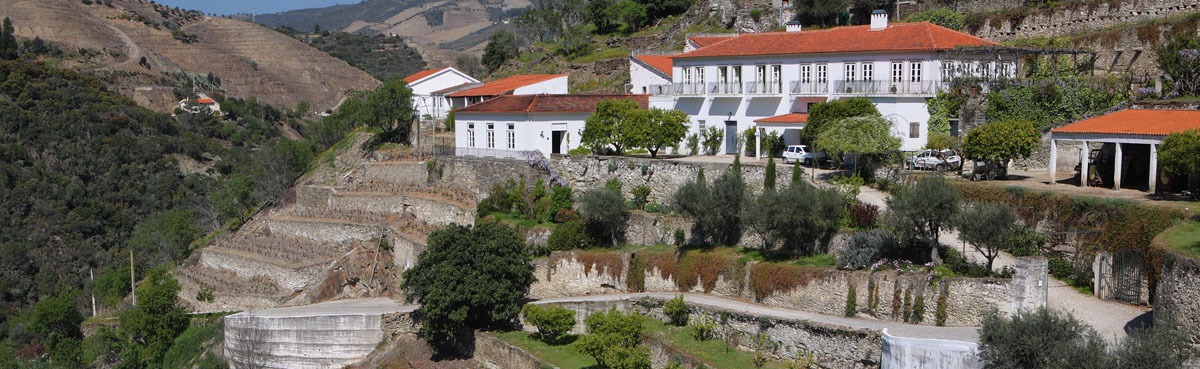 Fonseca Guimaraens Port Wines