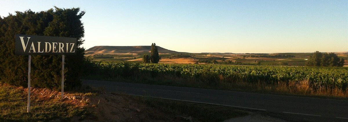 Bodegas y Viñedos Valderiz