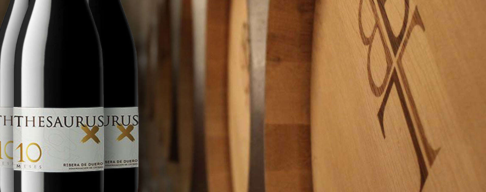 Bodegas Thesaurus Miguel Martín