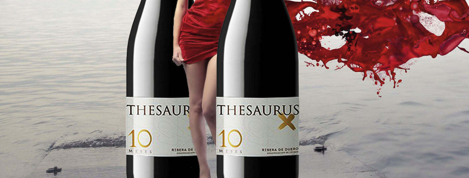 Bodegas Thesaurus Miguel Martín