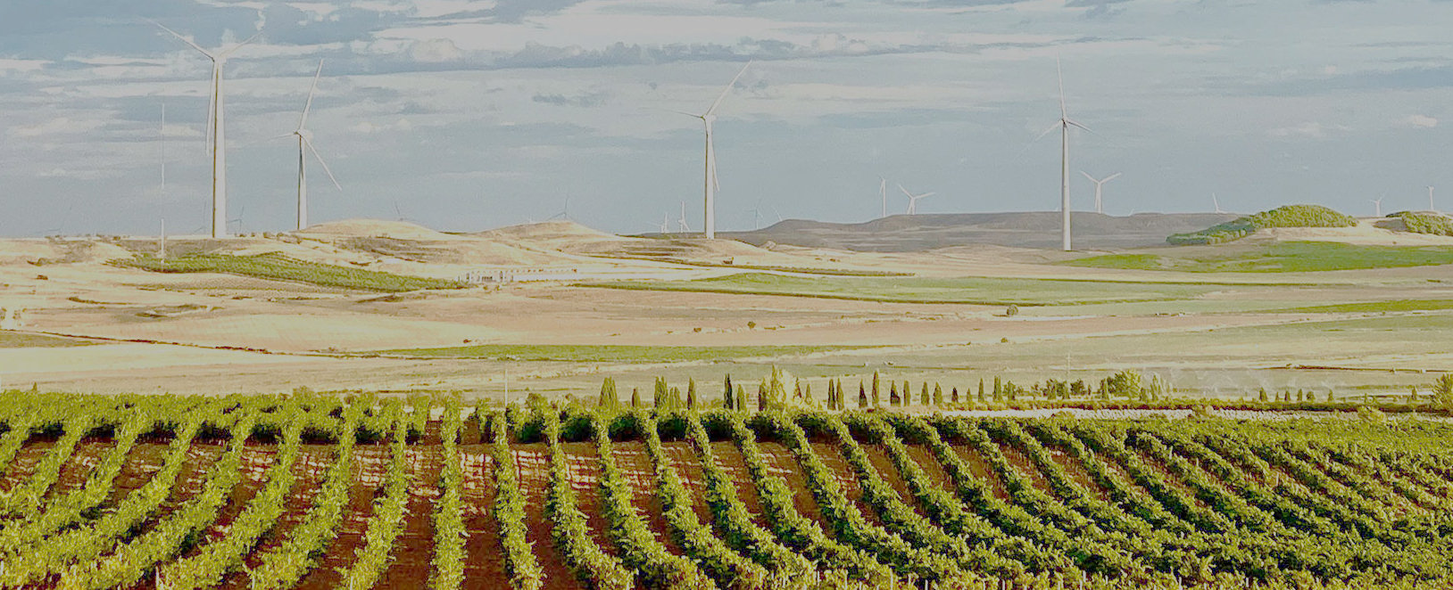 Bodega Pago de Cirsus