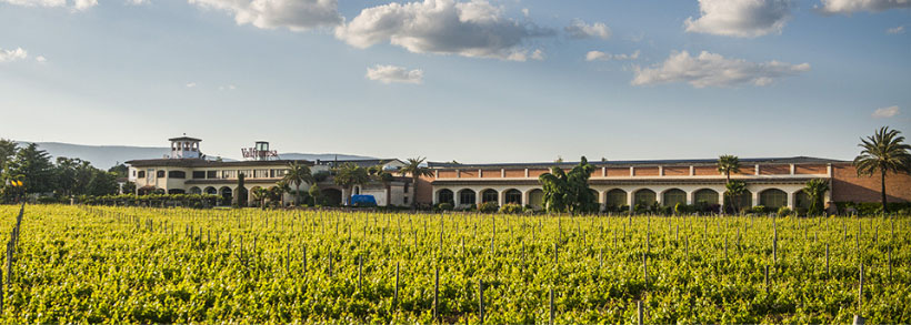 Bodega Masía Vallformosa