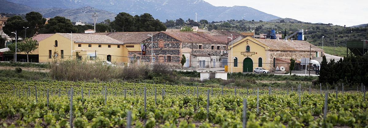 Celler Cooperatiu d'Espollá