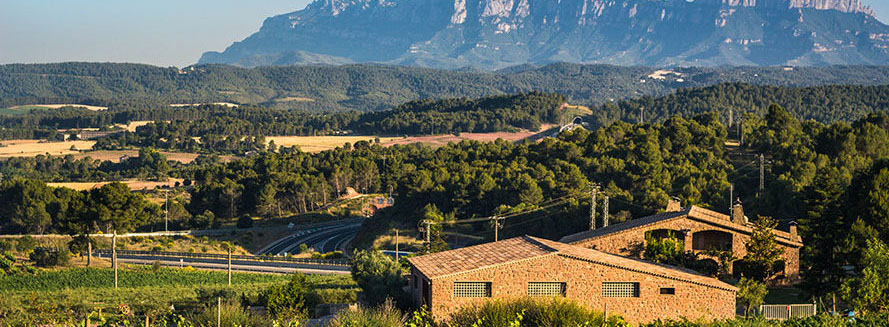 Celler El Molí